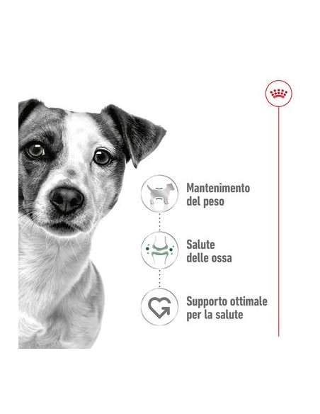 Mini Adult Kg 4 Royal Canin Cibo Secco Per Cani