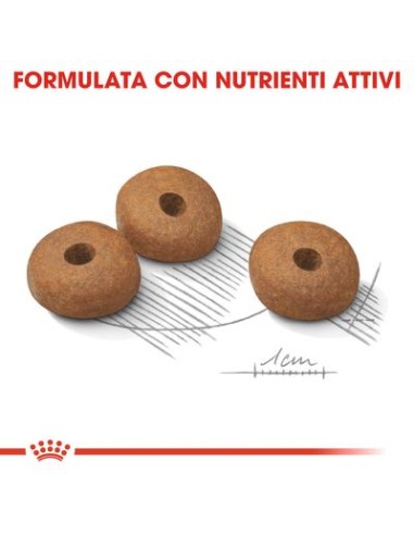 Mini Light kg8. Cibo Secco Per Cani