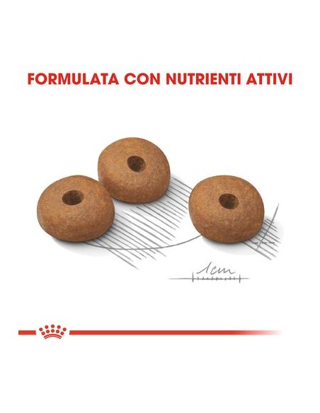Mini Light kg8. Cibo Secco Per Cani