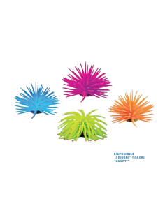 Decorazione Anemone. Decorazione per acquari