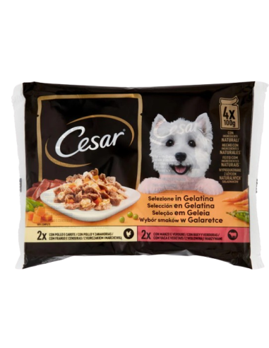 Cesar Delizie Del Giorno Multipack Selezione  Senior  4X100 gr. Cibo Umido Per Cani.