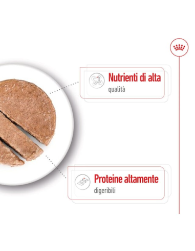 Maxi Adult gr 410.  Cibo Umido Per Cani .