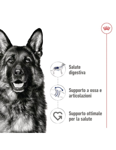 Maxi Adult gr 410.  Cibo Umido Per Cani .