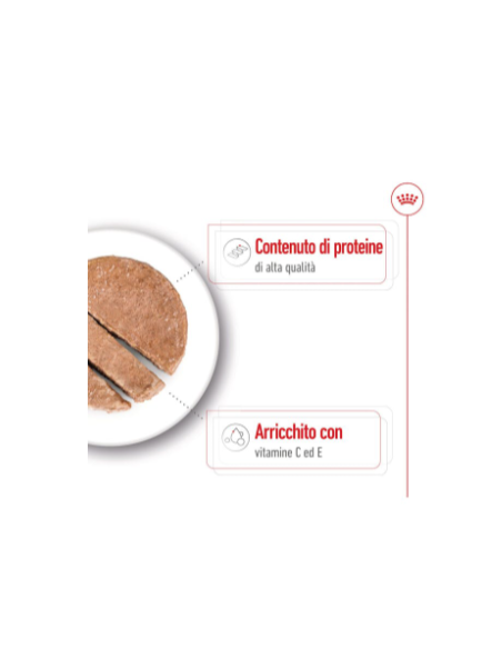Medium Adult gr 410- Cibo Umido Per Cani .