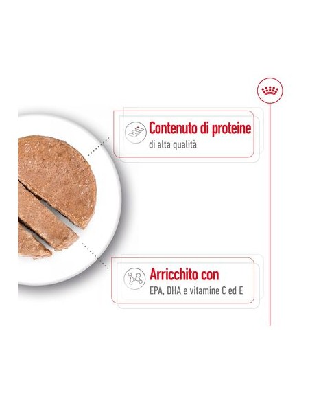 Medium  Agein gr 410. Cibo Umido Per Cani