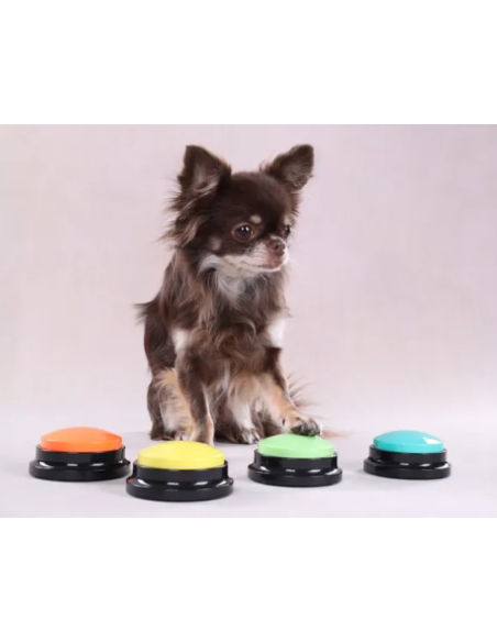 Gioco Karao Pulsante Audio Registrabile. Giochi per Cani
