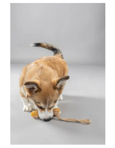 Gioco Gomma Stick con Corda . Giochi Per Cani