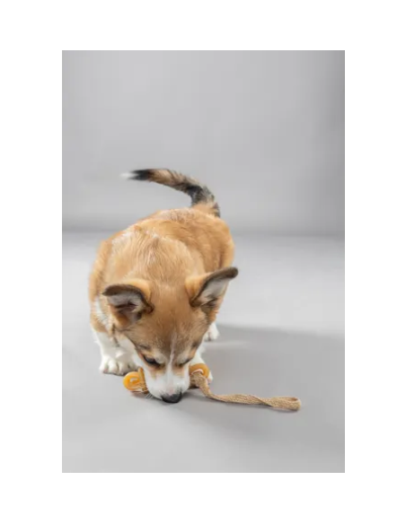 Gioco Gomma Stick con Corda . Giochi Per Cani