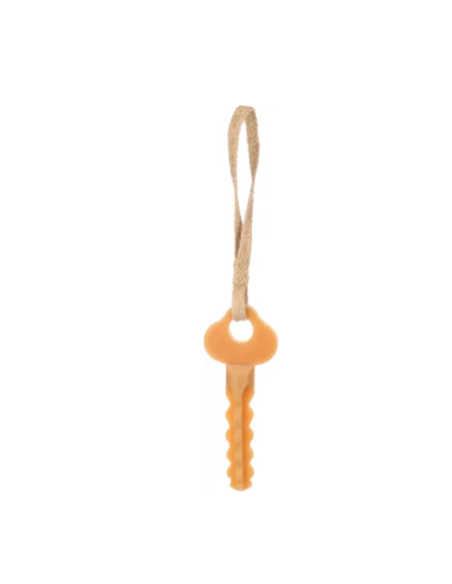 Gioco Gomma Chiave con Corda . giochi per cani.