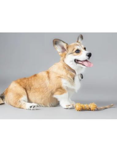 Gioco Gomma Osso Punte Con Corda . Giochi Per Cani