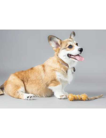 Gioco Gomma Osso Punte Con Corda . Giochi Per Cani