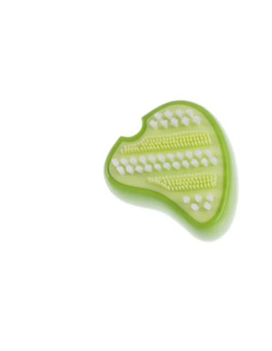 Gimdog Spazzolini Steak Verde . Giochi Per Cani .