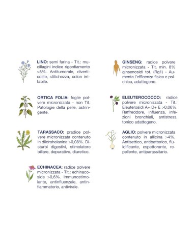 Vet Line Adulti Maiale Taglia Piccola gr.800. Crocchette per cani .