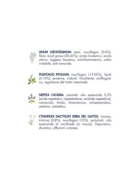 Vet Line Prevenzione Gusto Maiale con Prosciutto gr.400.Cibo Secco Per Gatti