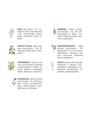 Vet Line Adulti Pesce kg.12,5.Crocchette per Cani .