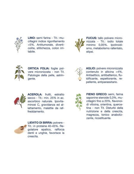 Vet Line Accrescimento Pesce kg.12,5.Crocchette per cani .