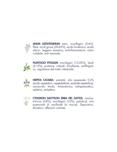 Vet Line Salute Sensi Maiale Grain Free gr.400.Cibo Secco Per Gatti.