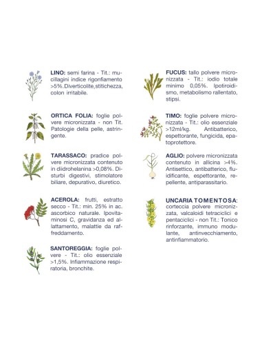 Vet Line Salute Sensi Maiale Grain Free gr.800. Crocchette per Cani