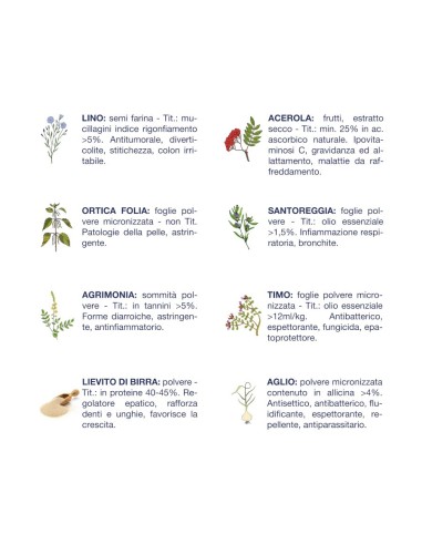 Vet Line Primi Mesi Maiale gr.800.Puppy