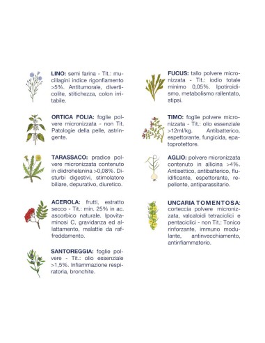 Vet Line Salute Pesce Taglia Piccola gr.800.Puppy.