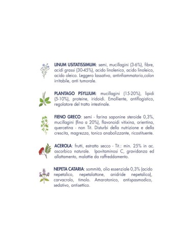 Vet Line Prevenzione Gusto Maiale gr.800. Cibo Secco Per Gatti