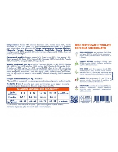 Vet Line Prevenzione Gusto Maiale gr.800. Cibo Secco Per Gatti