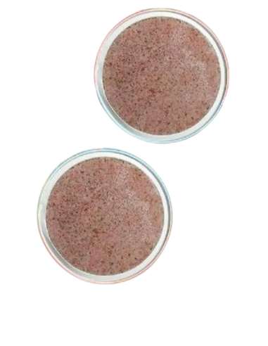 Tetra goldFishHoliday . Mangime per pesci.