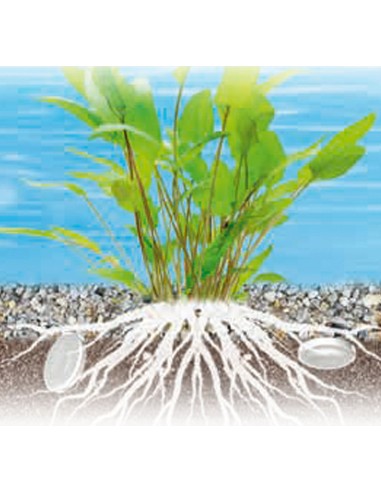 Tetraplant Crypto 10 tavolette . Tetra . Trattemento e Cura dell'acqua