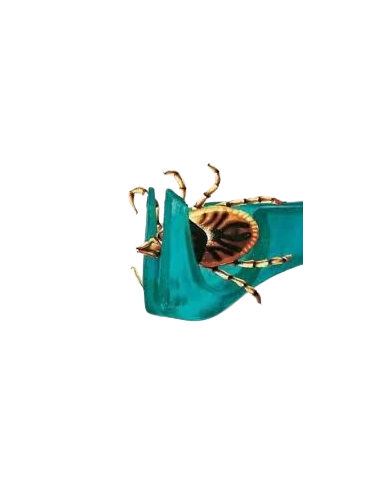 Rimuovi Zecche in Blister 7 cm . Antiparassitari per cani