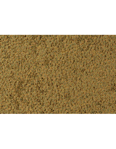 Tetra Pleco Wafer 42 gr. ml 100. Mangime per pesci