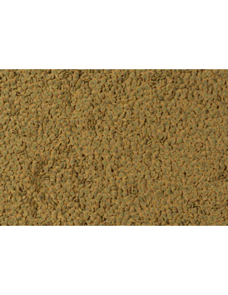 Tetra Pleco Wafer 42 gr. ml 100. Mangime per pesci