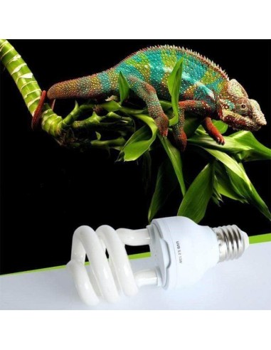 Lampada Basso Consumi UVB 5.0 13 W. Accessori per Terrari e Rettili