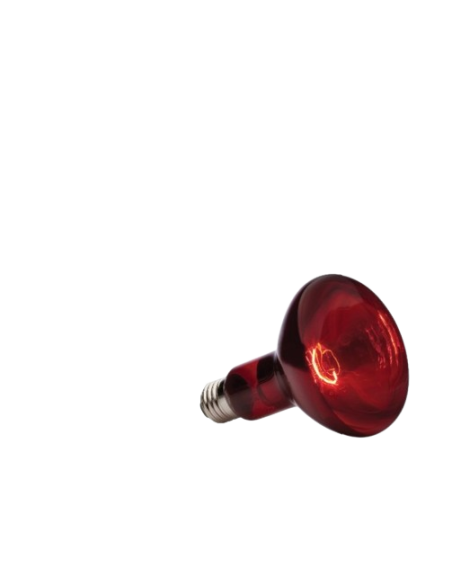 Lampada infra red 40 w. Accessori e Decorazioni per terrari.
