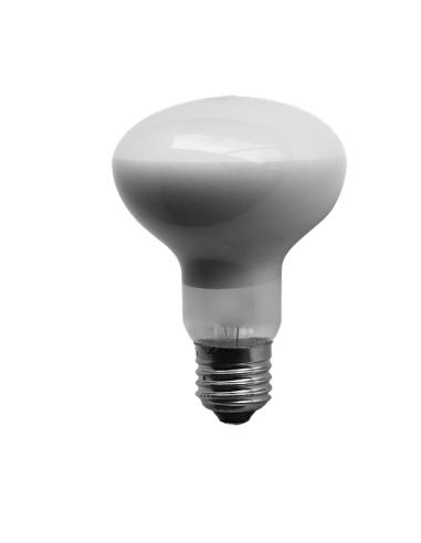 Lampada Sun Spot 60 w.decorazioni e accessori per terrari.