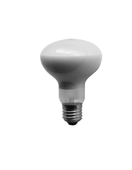 Lampada Sun Spot 60 w.decorazioni e accessori per terrari.