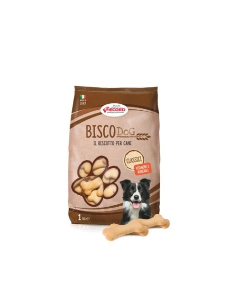 Record Biscodog Biscotti Classici kg 1. Snack per cani