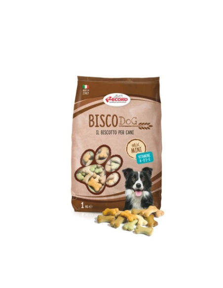 Record Biscodog Biscotti mix 1 kg . Snack Per cani