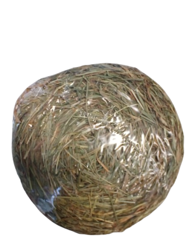 Fieno Roll gr 500- Snack per Roditori