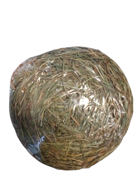Fieno Roll gr 500- Snack per Roditori
