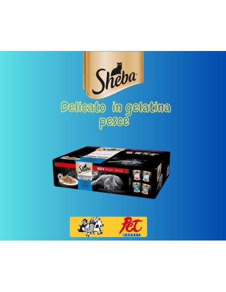 SHEBA Multipack 60 pz.xgr.85 Delicat in Gel Pesce.Cibo Umido Per Gatti
