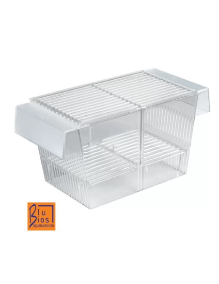 Aquaparto Blu Bios Mantovani. Accessori per Acquari