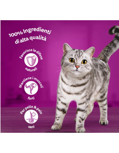 WHISKAS Pure Delight 4x85 GR.Bocconcini di Pesce in Gel.Cibo Umido Per Gatti.