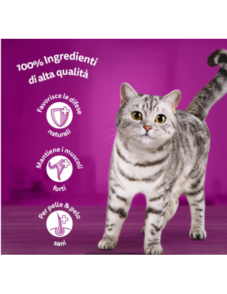 WHISKAS Pure Delight 4x85 GR.Bocconcini di Pesce in Gel.Cibo Umido Per Gatti.