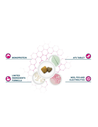 Forza 10 intestinal Active kg 4. Diete . Cibo secco per cani