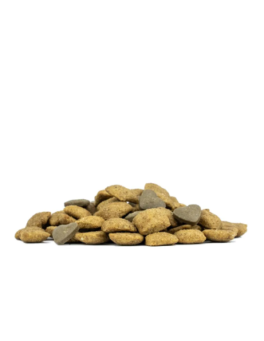 Forza 10 Dermo Active kg 10. Diete Cibo secco per cani