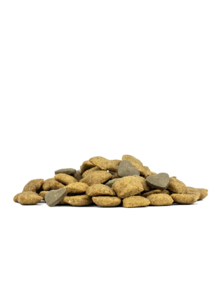 Forza 10 Dermo Active kg 10. Diete Cibo secco per cani
