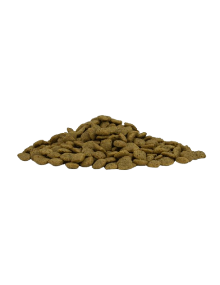 Forza 10 Intestinal Colon Fase 1 Kg 4. Diete Secco Cani .