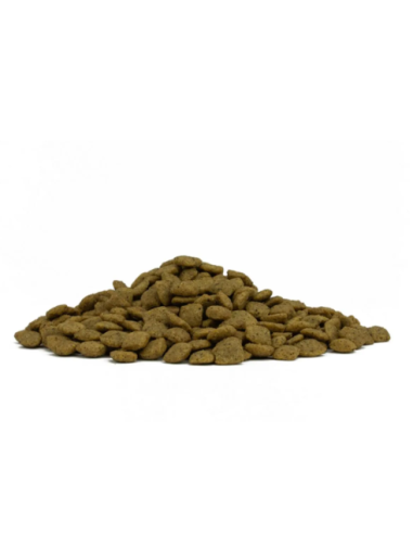 FORZA 10 Intestinal Colon Fase 2 KG.10. Diete Per Cani