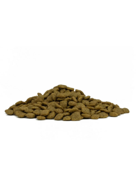 FORZA 10 Intestinal Colon Fase 2 KG.10. Diete Per Cani
