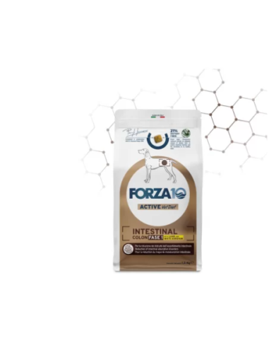 Forza 10 Intestinal Colon Fase 1 Agnello KG.1,5. Diete Per Cani. Cibo Secco Per Cani